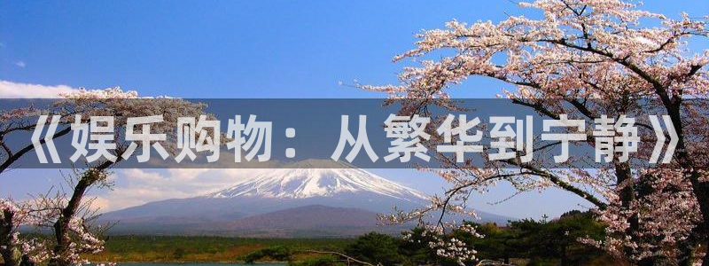k8凯发体育app下载：《娱乐购物：从繁华到宁静》