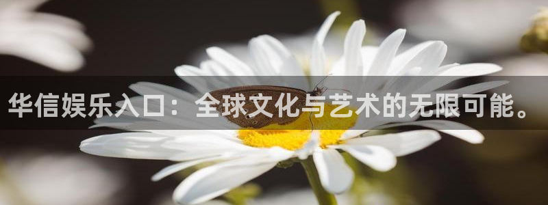 k8凯发招商：华信娱乐入口：全球文化与艺术的无限可能。