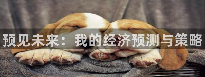 k8凯发4官网：预见未来：我的经济预测与策略