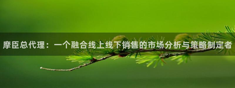 k8凯发2登录：摩臣总代理：一个融合线上线下销售的市场分析与策略制定者