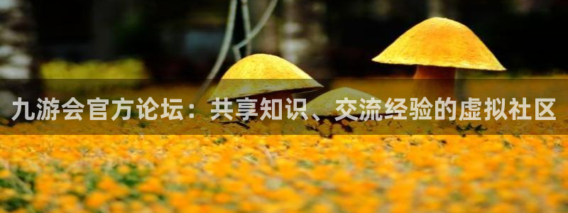 k8凯发2注册：九游会官方论坛：共享知识、交流经验的虚拟社区