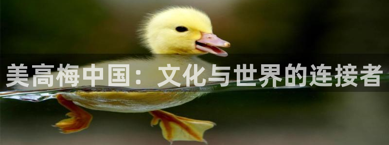 k8凯发2平台登录：美高梅中国：文化与世界的连接者