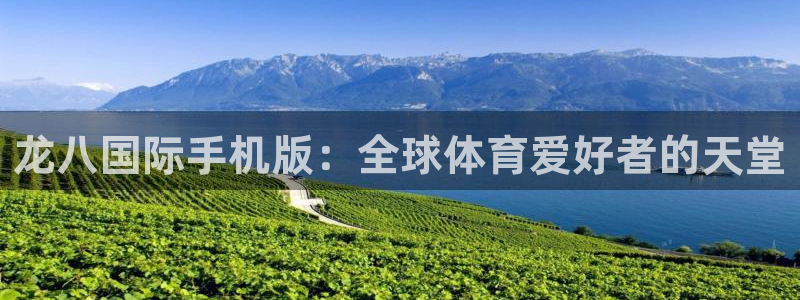 k8凯发集团总部：龙八国际手机版：全球体育爱好者的天堂
