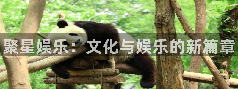 k8凯发4注册：聚星娱乐：文化与娱乐的新篇章