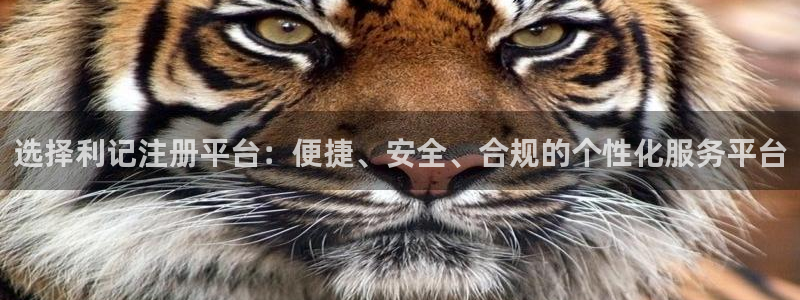 k8凯发体育凯捷平台主管：选择利记注册平台：便捷、安全、合规的个性化服务平台