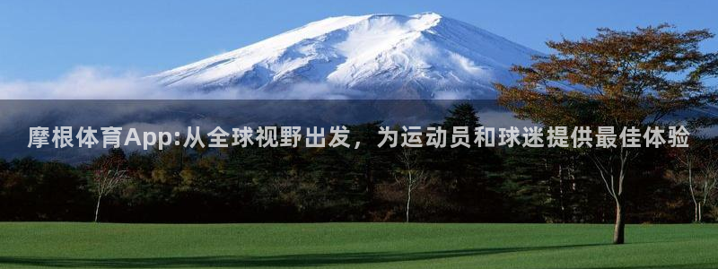 k8凯发登录界面入口：摩根体育App:从全球视野出发，为运动员和球迷提供最佳体验