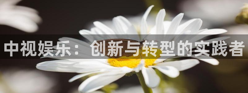 k8凯发k：中视娱乐：创新与转型的实践者