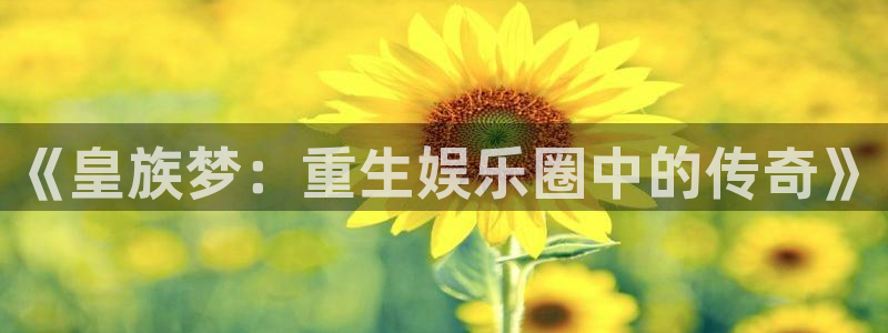 k8凯发3登录：《皇族梦：重生娱乐圈中的传奇》