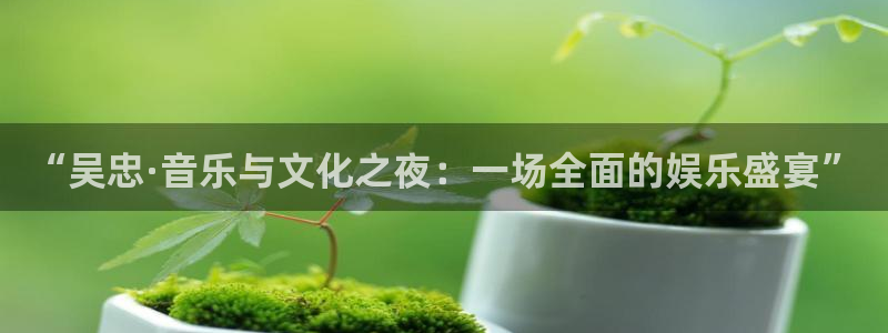 东莞市k8凯发电子科技有限公司：“吴忠·音乐与文化之夜：一场全面的娱乐盛宴”