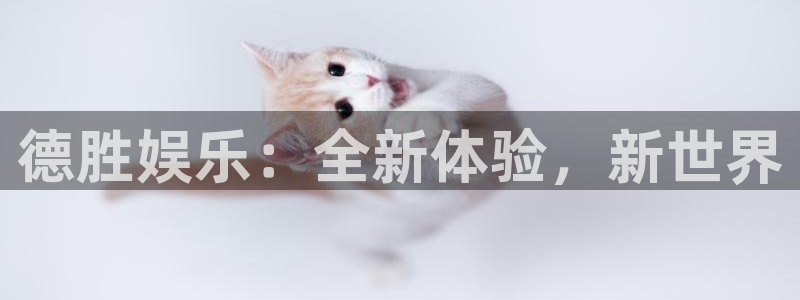 k8凯发平台官网：德胜娱乐：全新体验，新世界