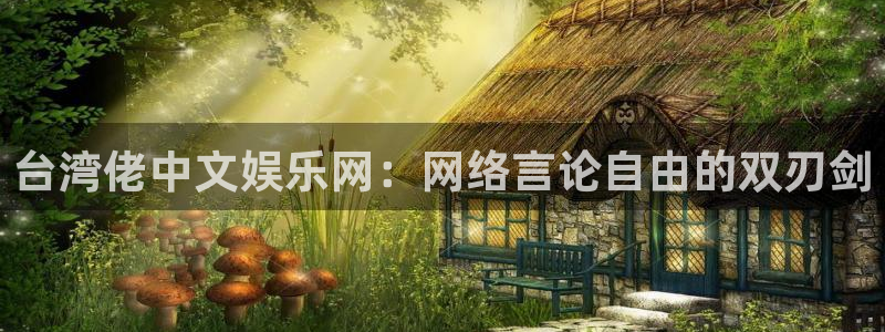 k8凯发包怎么样：台湾佬中文娱乐网：网络言论自由的双刃剑