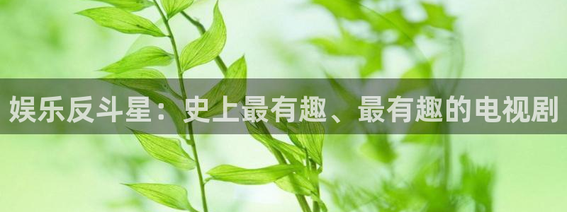 k8凯发体育f开户：娱乐反斗星：史上最有趣、最有趣的电视剧