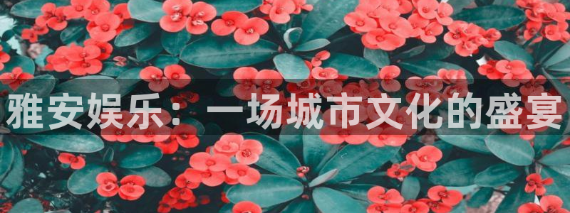 k8凯发体育app下载：雅安娱乐：一场城市文化的盛宴