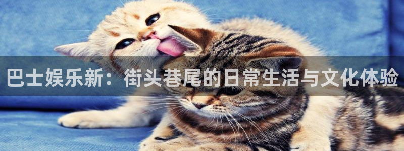 k8凯发kgame：巴士娱乐新：街头巷尾的日常生活与文化体验