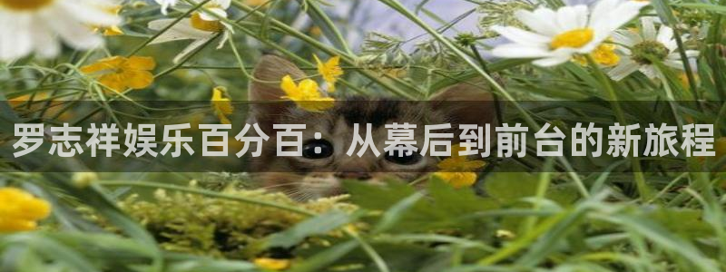 k8凯发2登录入口：罗志祥娱乐百分百：从幕后到前台的新旅程