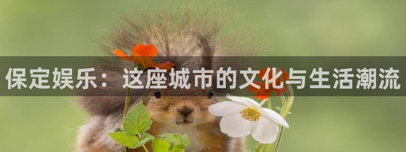 k8凯发体育平台开号链接：保定娱乐：这座城市的文化与生活潮流