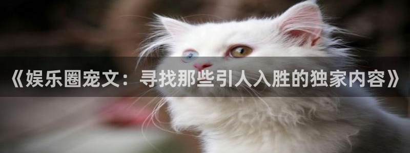 k8凯发4：《娱乐圈宠文：寻找那些引人入胜的独家内容》