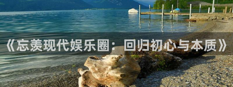 k8凯发3登录：《忘羡现代娱乐圈：回归初心与本质》