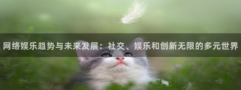 k8凯发2登录地址：网络娱乐趋势与未来发展：社交、娱乐和创新无限的多元世界