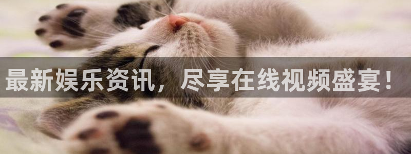 k8凯发3平台登录注册：最新娱乐资讯，尽享在线视频盛宴！