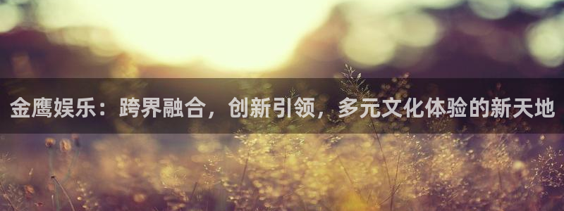 k8凯发主管：金鹰娱乐：跨界融合，创新引领，多元文化体验的新天地