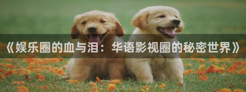 k8凯发：《娱乐圈的血与泪：华语影视圈的秘密世界》