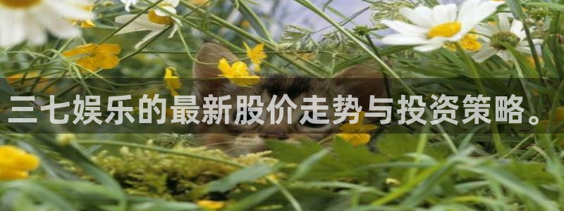 k8凯发体育凯捷平台主管：三七娱乐的最新股价走势与投资策略。