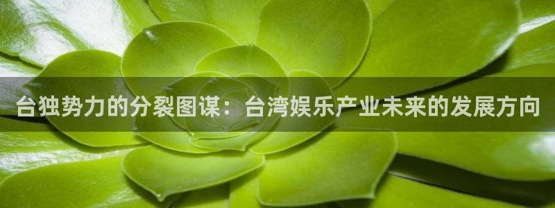 k8凯发体育平台总代理：台独势力的分裂图谋：台湾娱乐产业未来的发展方向